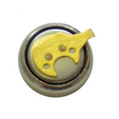 2956300