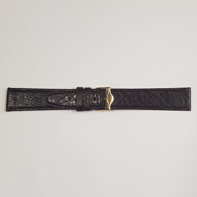 1167-CE