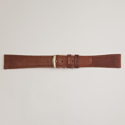 1167-CC