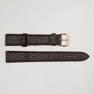1172-CE