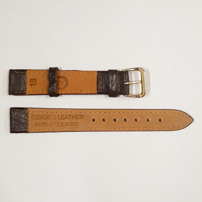 1172-CE