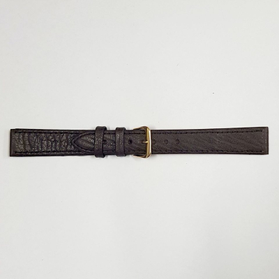 1172-CE
