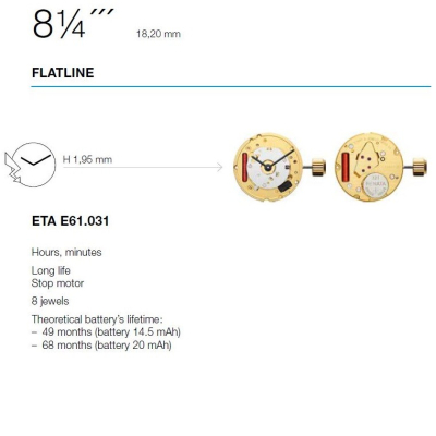 ETA E61031