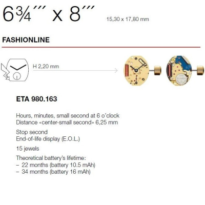 ETA 980163