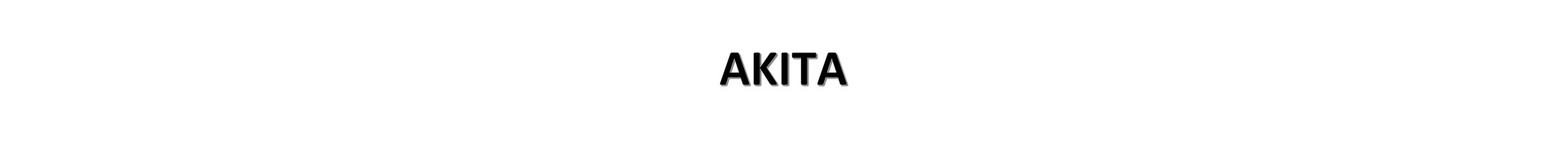 Akita
