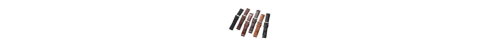Swatch